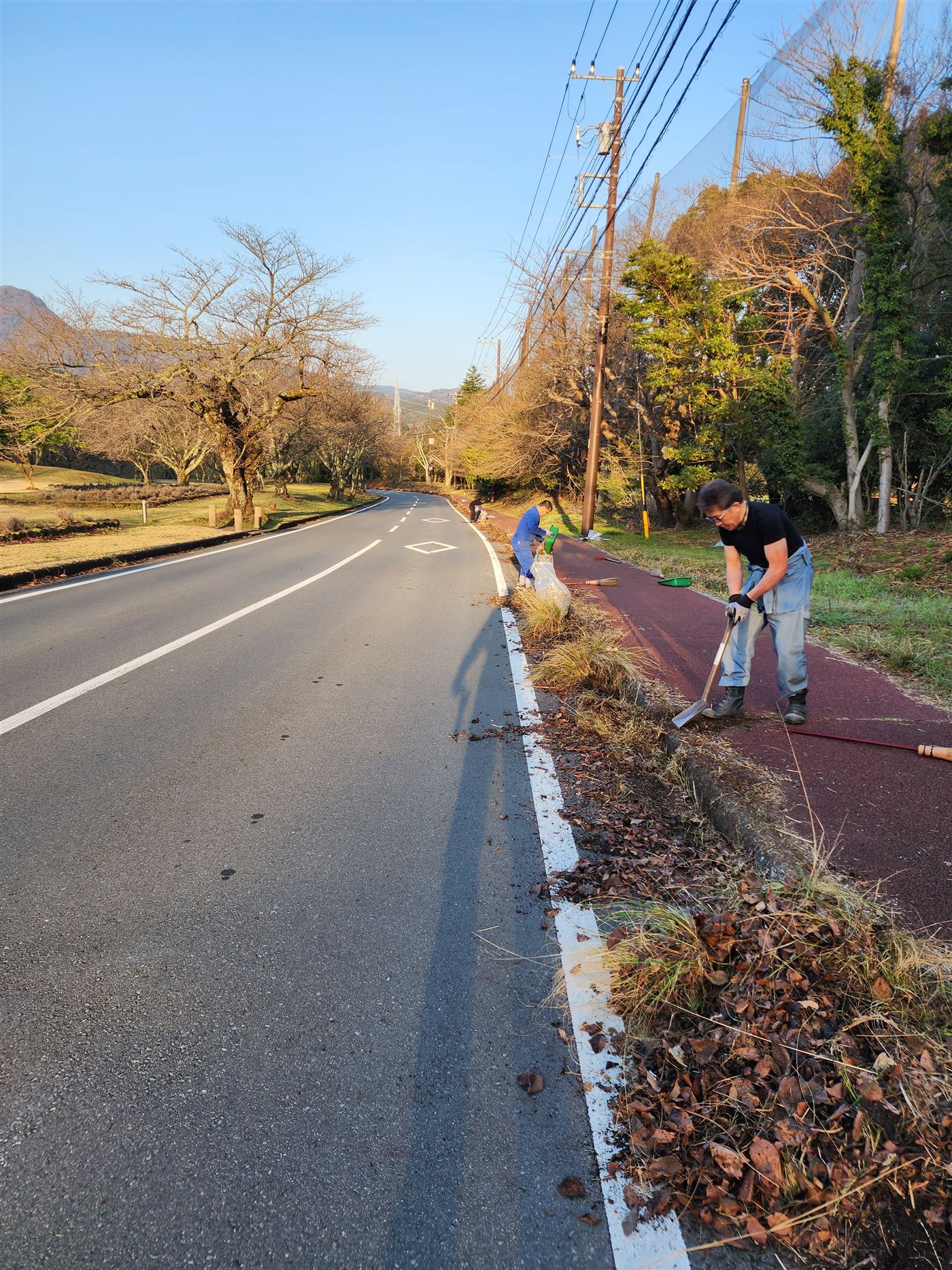 道路沿いの除草作業